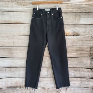 Everlane Black Coal The Way-High Jean Womens Size 24 Regular